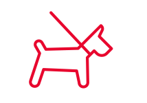 dog on leash icon